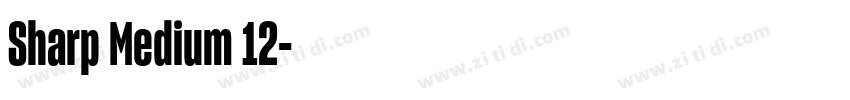Sharp Medium 12字体转换 Sharp Medium 12字体转换